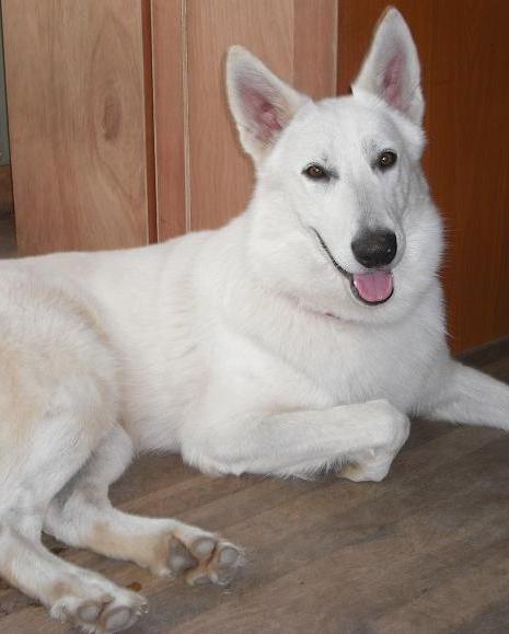 Antonio 3/24/11