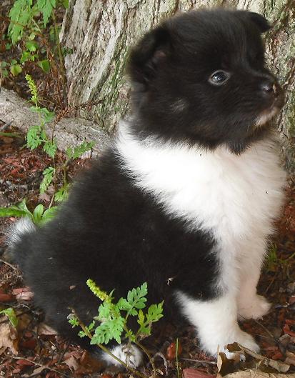 Ruthie 8-27-10