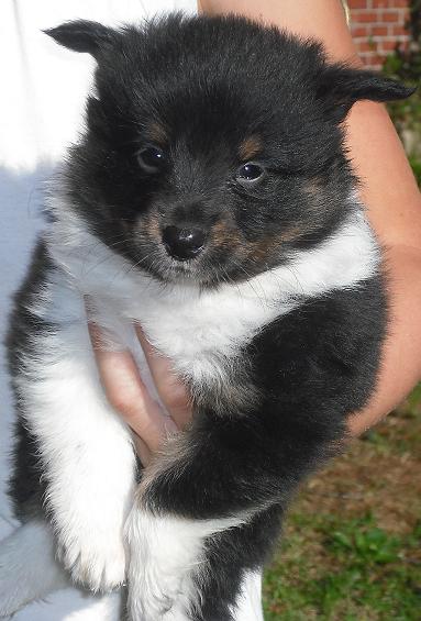 Trooper 8-27-10