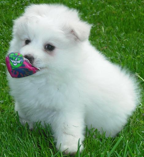 Fern AKA Shyla