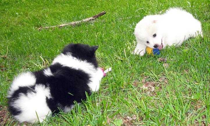 Milo & Aaron